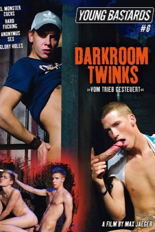 Movie poster for Young Bastards 6: Darkroom Twinks (2013)