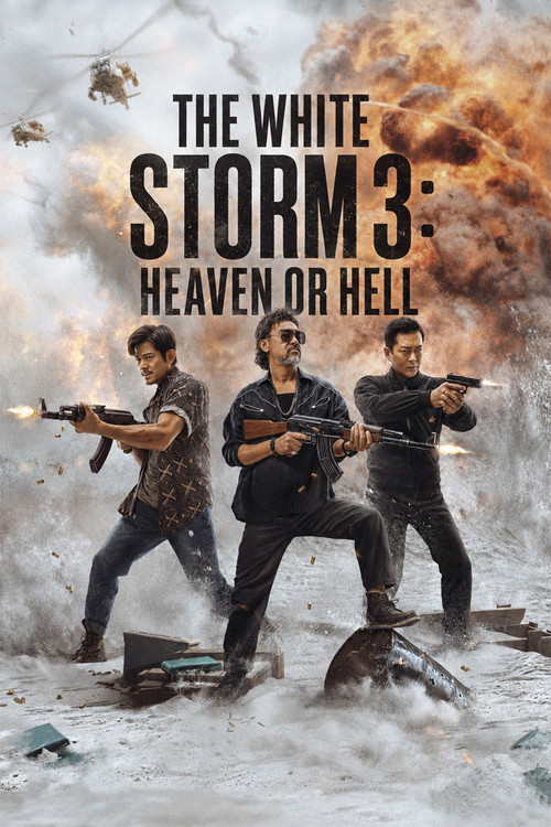 Movie poster for The White Storm 3: Heaven or Hell (2023)