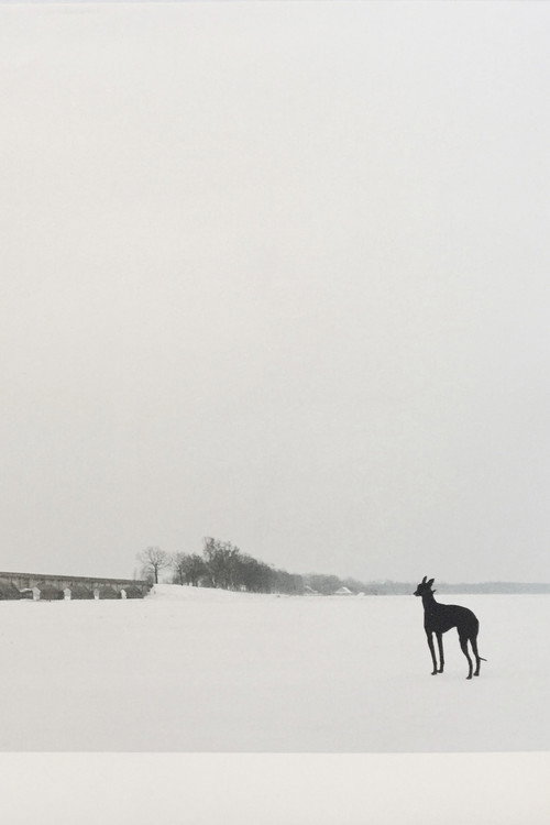 Movie poster for The Spring (1997)