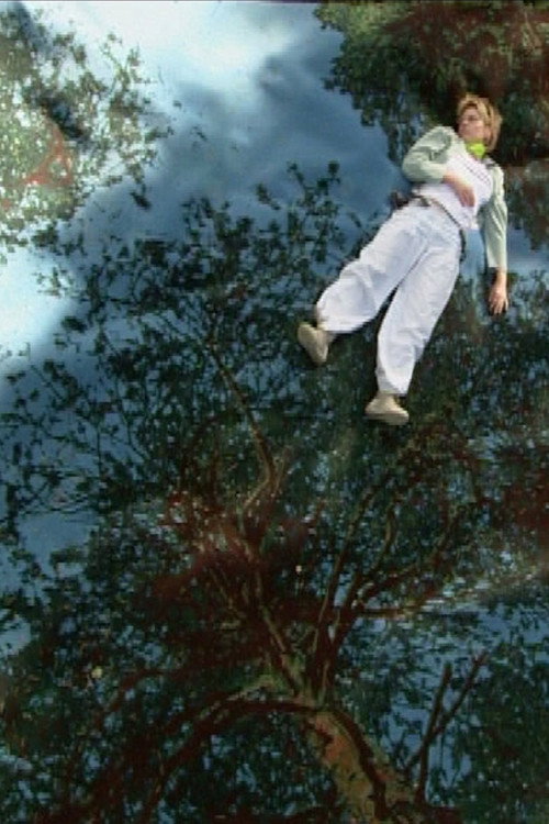Movie poster for It Usually Ends Well (2010)