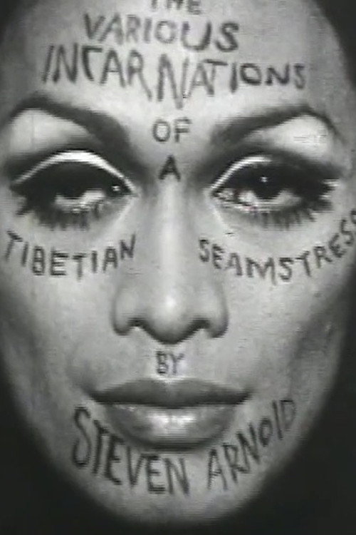 Movie poster for Various Incarnations of a Tibetan Seamstress (1969)