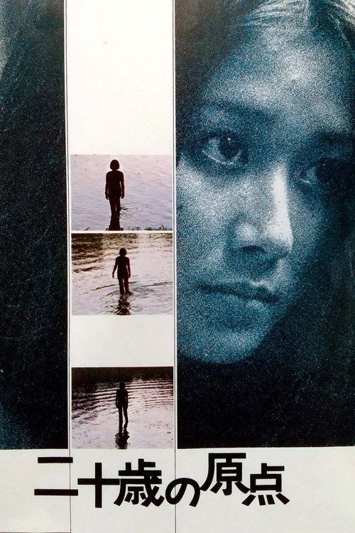 Movie poster for The Origin of Twenty Years Old (1973)