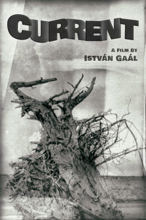 Movie poster for Current (1964)