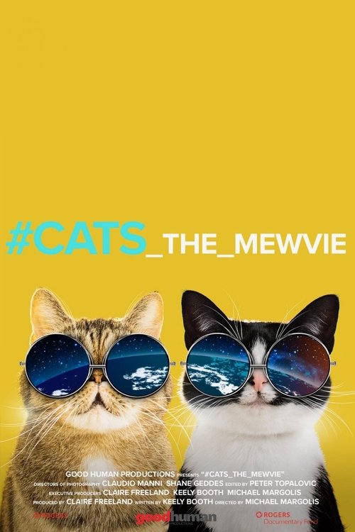 Movie poster for #cats_the_mewvie (2020)
