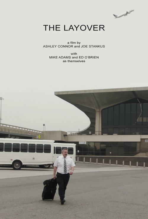 Movie poster for The Layover (2017)