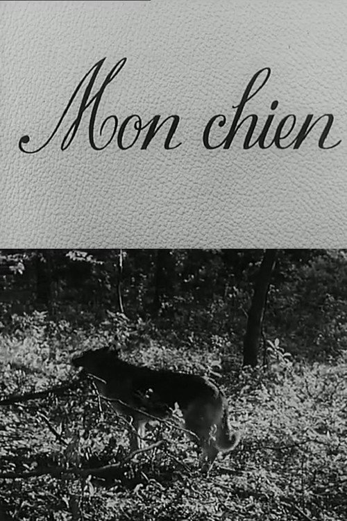 Movie poster for Mon chien (1955)