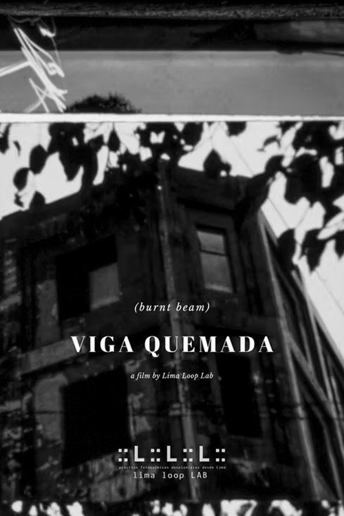 Movie poster for Viga Quemada (2026)