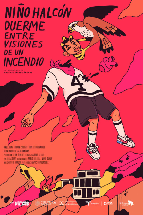 Movie poster for Hawk Boy Sleeps Amidst Visions of a Fire (2024)