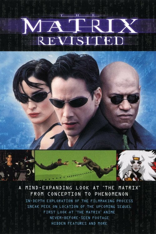 Movie poster for The Matrix Revisited (2001)