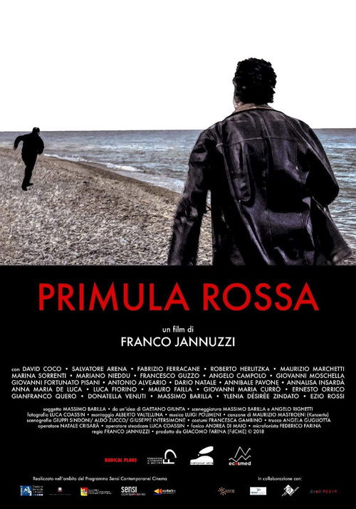 Movie poster for Primula Rossa (2019)