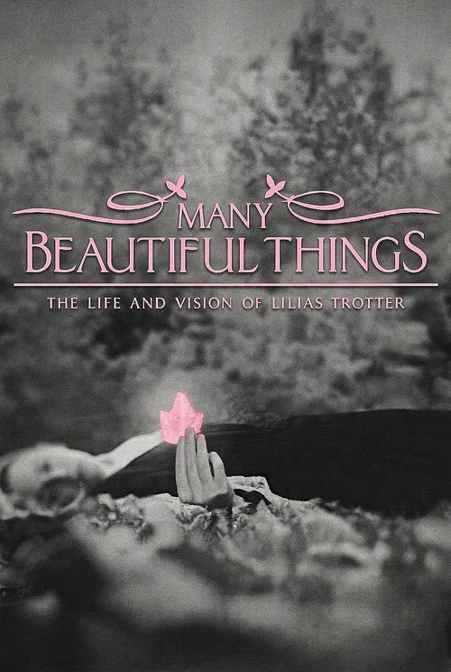 Movie poster for Many Beautiful Things (2015)