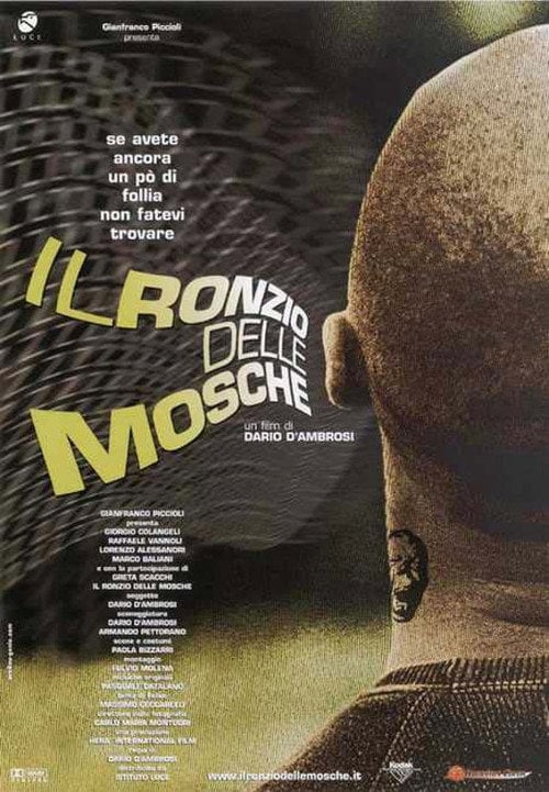 Movie poster for Il ronzio delle mosche (2003)