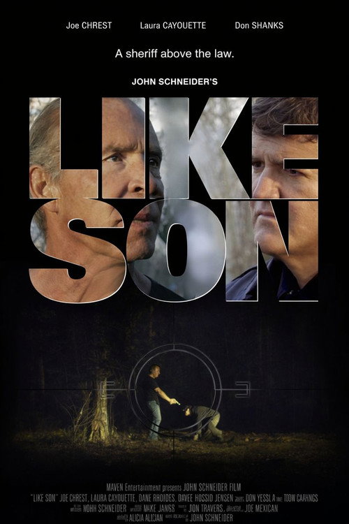 Movie poster for Like Son (2016)