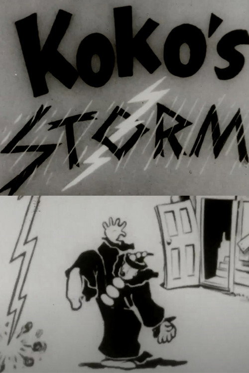 Movie poster for The Storm (1924)