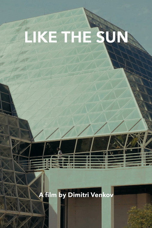 Movie poster for Like the Sun (2013)