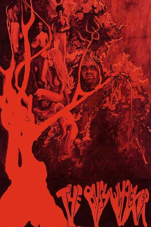 Movie poster for The Bushwhacker (1968)