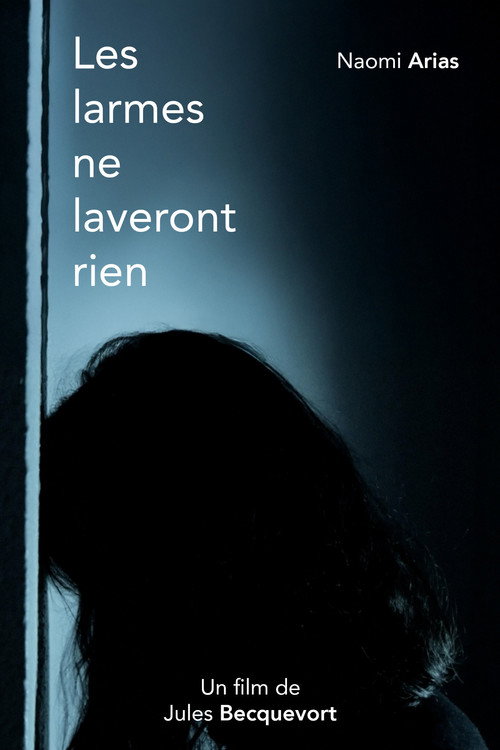 Movie poster for Les larmes ne laveront rien
