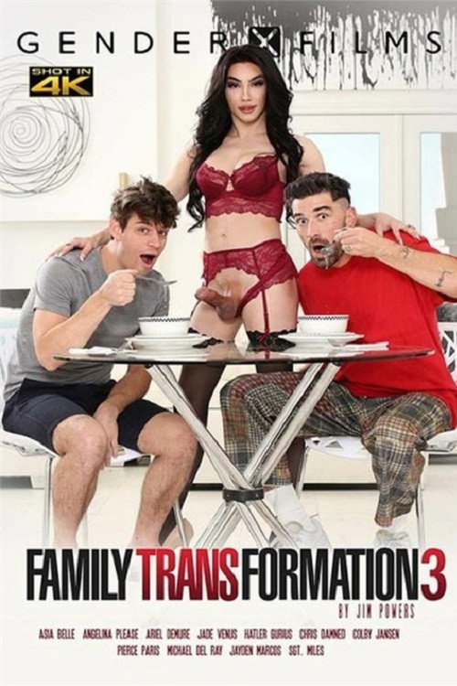 Movie poster for Family Transformation 3 (2022)