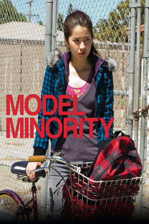 Movie poster for Model Minority (2012)