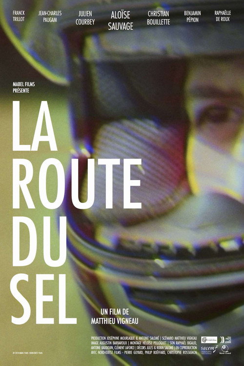 Movie poster for The Salt Way (2019)