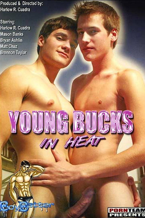 Movie poster for Young Bucks in Heat (2006)