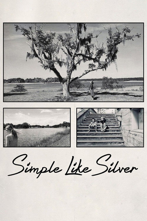 Movie poster for Simple Like Silver (2021)