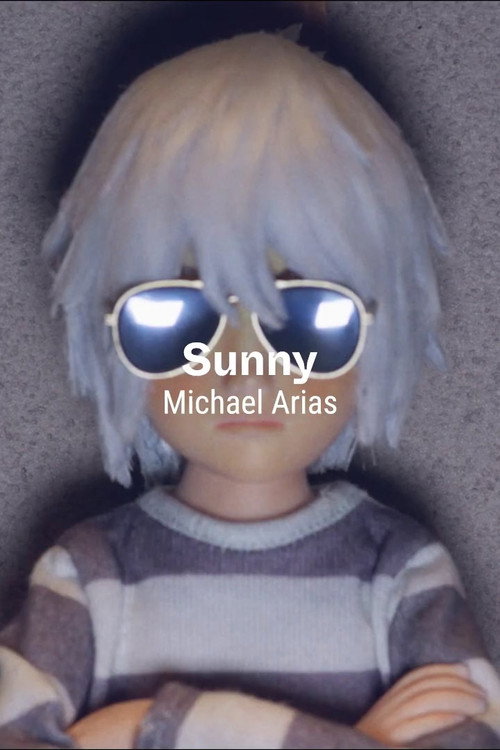 Movie poster for Sunny
