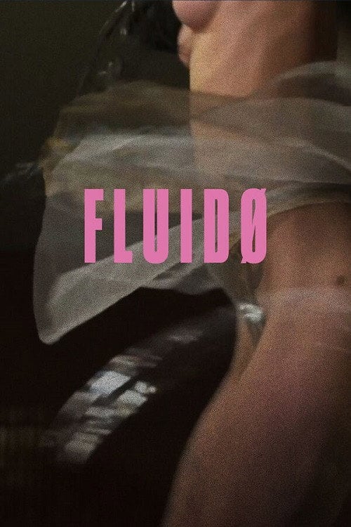Movie poster for Fluidø (2017)