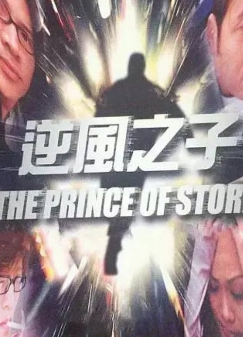 Movie poster for The Prince of Storm (2003)
