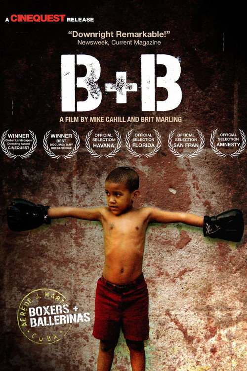 Movie poster for Boxers and Ballerinas (2004)