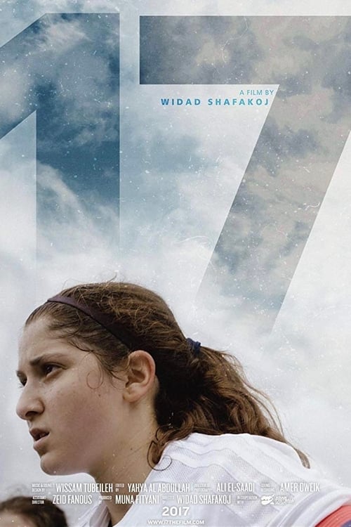 Movie poster for 17 (2017)