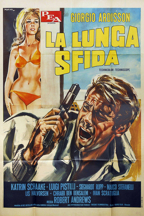 Movie poster for La lunga sfida (1967)