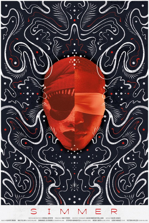 Movie poster for SIMMER