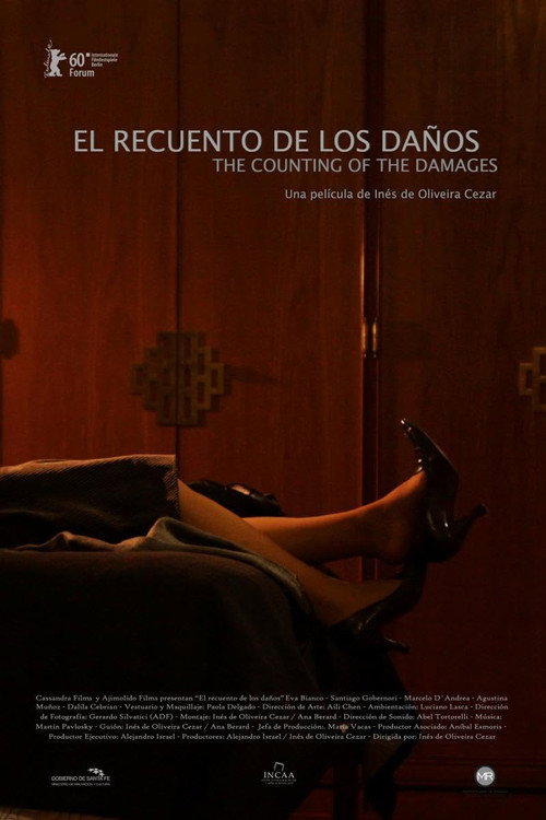 Movie poster for The Counting of the Damages (2010)