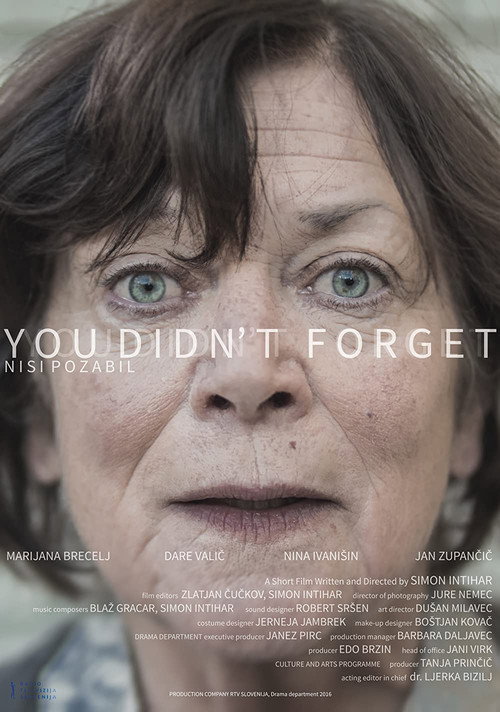 Movie poster for You Didn't Forget (2016)