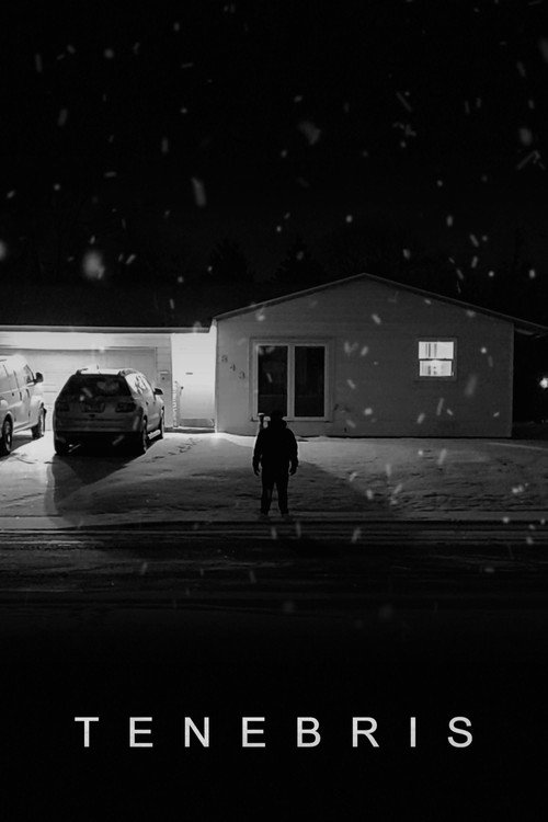 Movie poster for Tenebris