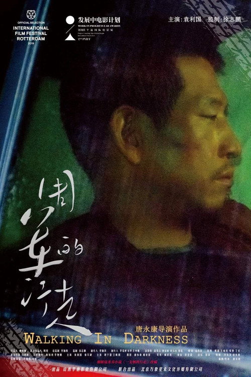 Movie poster for Walking in Darkness (2019)