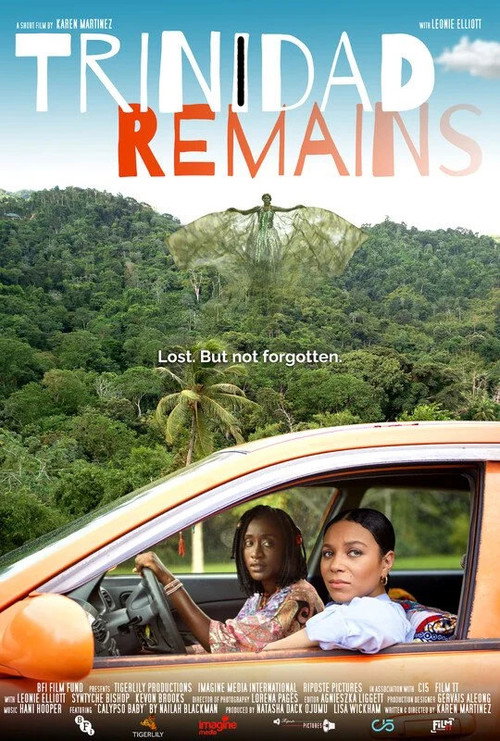 Movie poster for Trinidad Remains