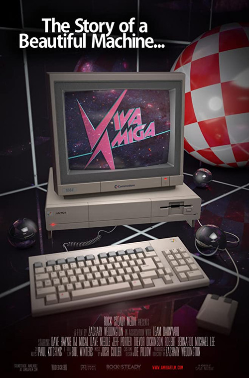 Movie poster for Viva Amiga (2017)