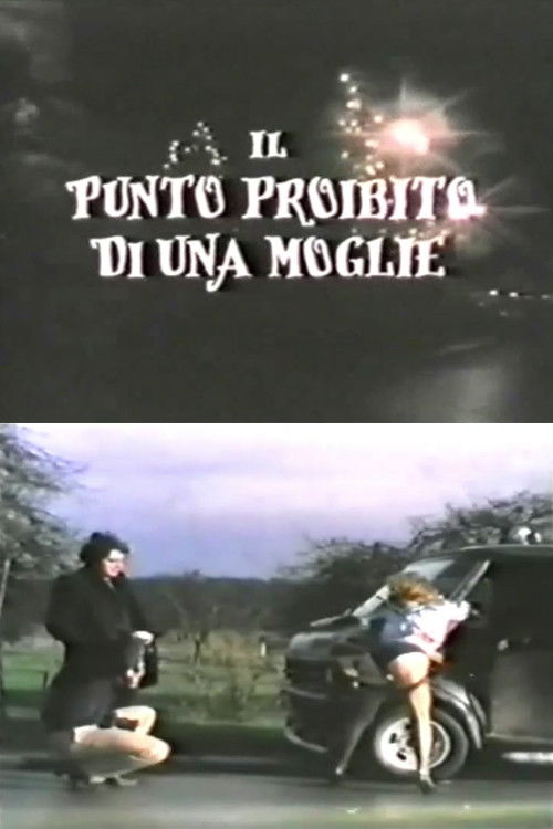 Une belle carrosserie poster