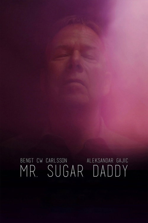 Movie poster for Mr. Sugar Daddy (2016)