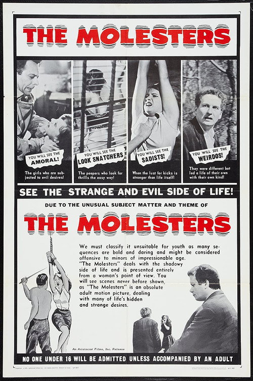 Movie poster for The Molesters (1963)