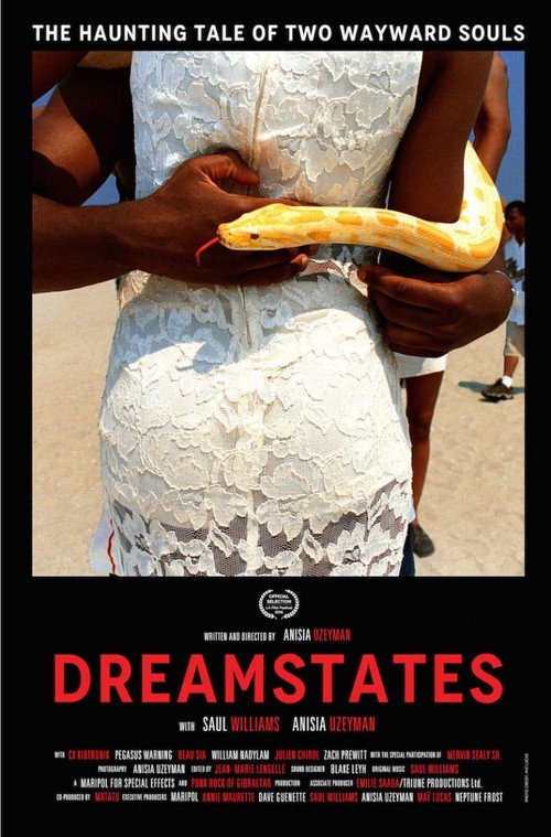 Movie poster for Dreamstates (2016)