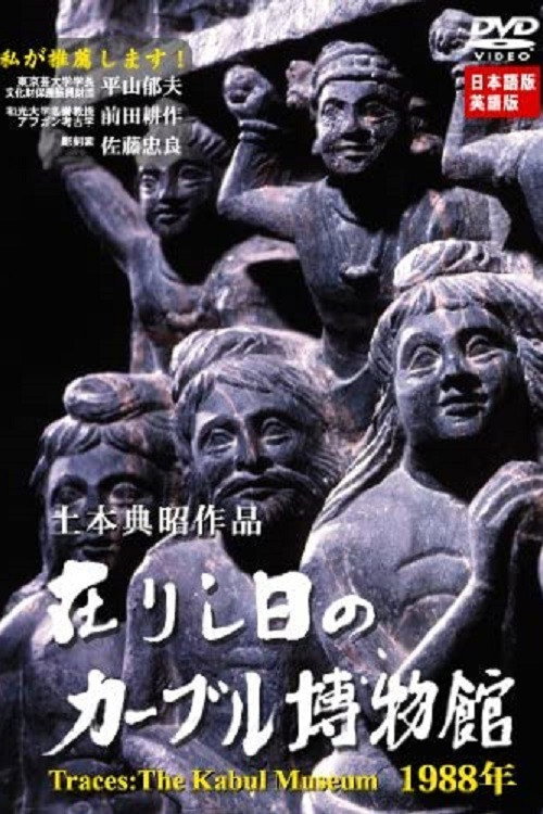 Movie poster for Traces: The Kabul Museum 1988 (2003)