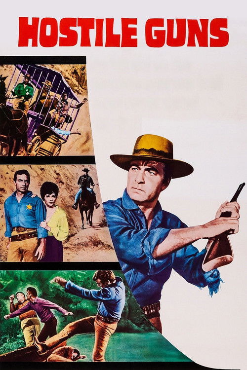 Movie poster for Hostile Guns (1967)