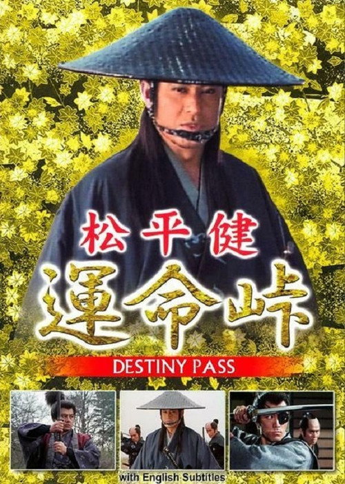 Movie poster for Destiny Pass (1993)
