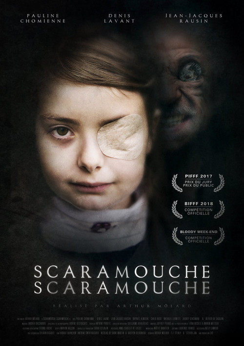 Movie poster for Scaramouche Scaramouche (2018)