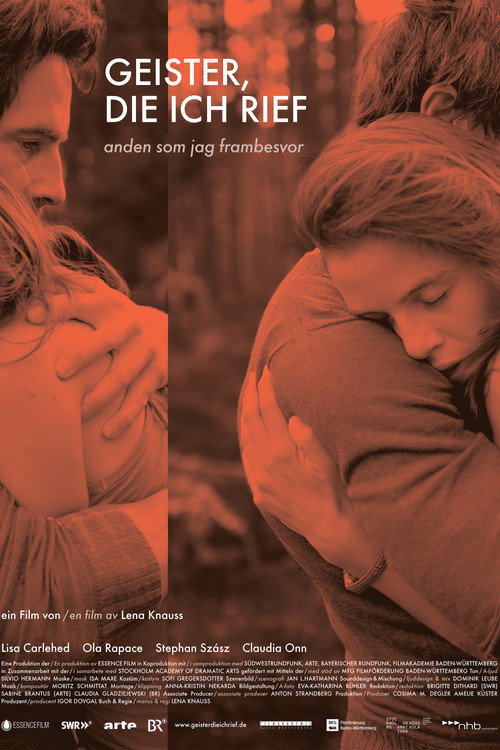 Movie poster for Geister, die ich rief (2012)