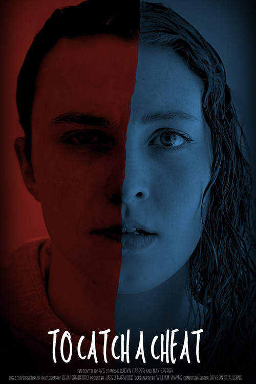 Movie poster for To Catch a Cheat (2025)