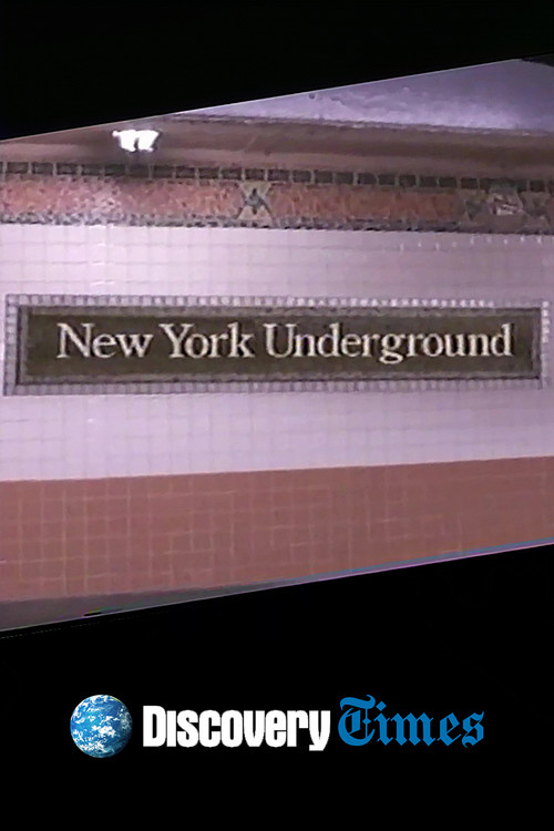 Movie poster for New York Underground (2003)
